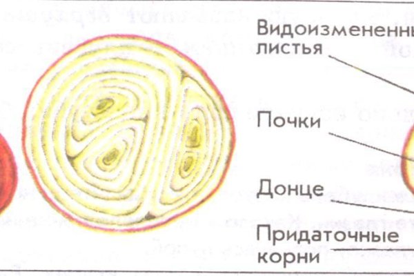 Mega darknet ссылка