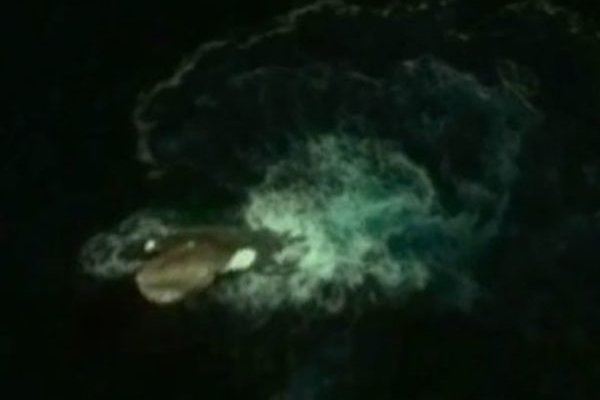 Kraken12 at сайт