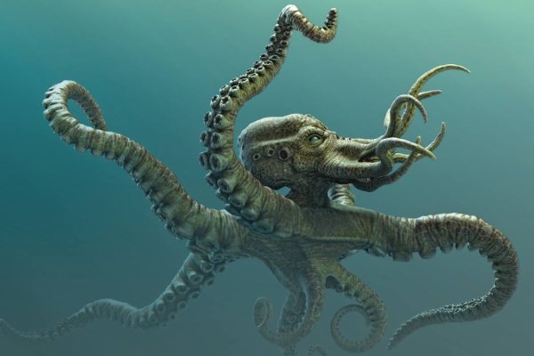 Kraken 17 at net