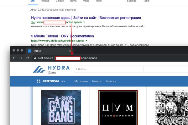 Официальный сайт даркнета