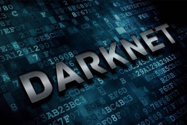 Darknet как войти