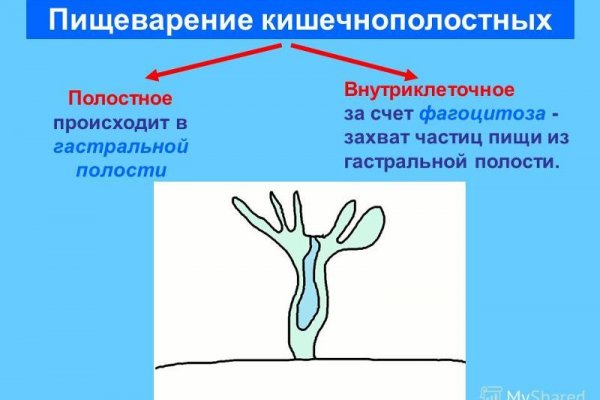 Кракен макет даркнет только через тор