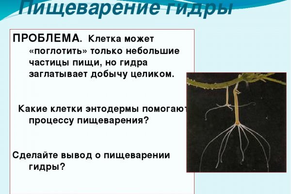 Магазин кракен дарк