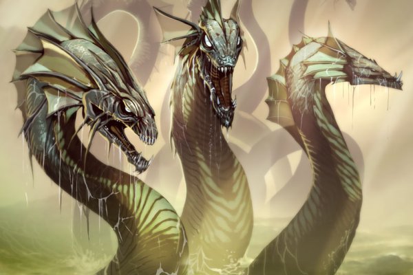 Kraken 13at