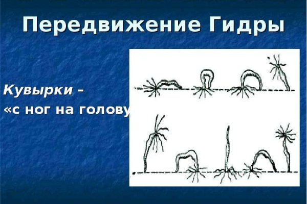 Как пополнять кракен тор