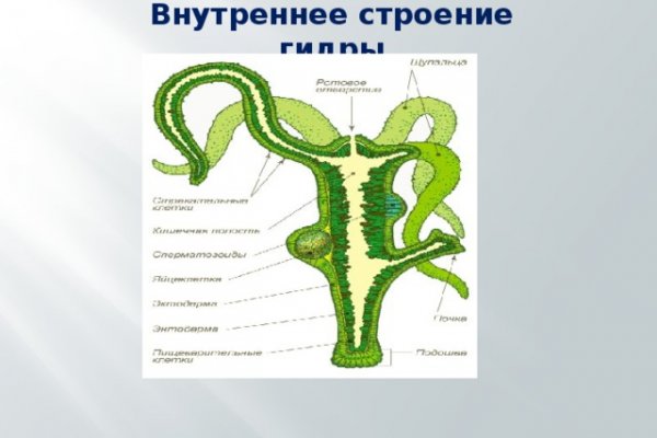 Через какой браузер можно зайти на кракен
