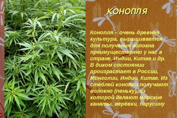 Зайти кракен через тор